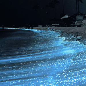 成人羞羞视频🔞免费河北视频
