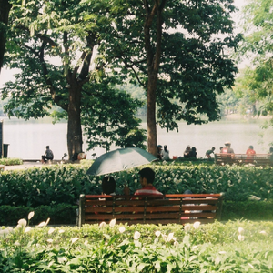 成人羞羞视频🔞免费河北视频
